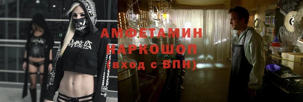 индика Арсеньев