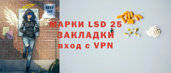 гашик Аркадак