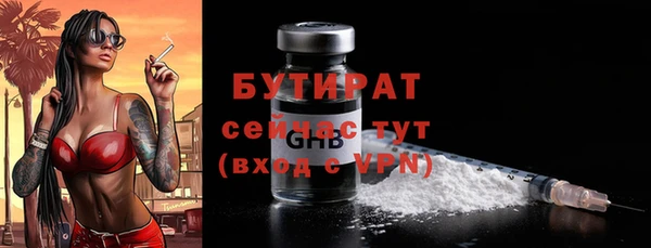 индика Арсеньев