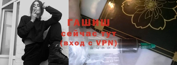 индика Арсеньев