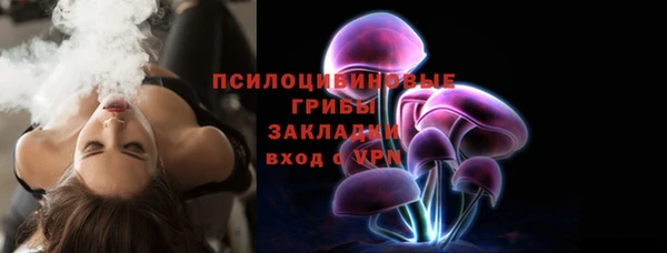 гидра Армянск