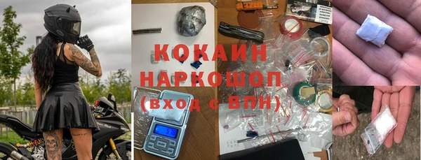 гашик Аркадак
