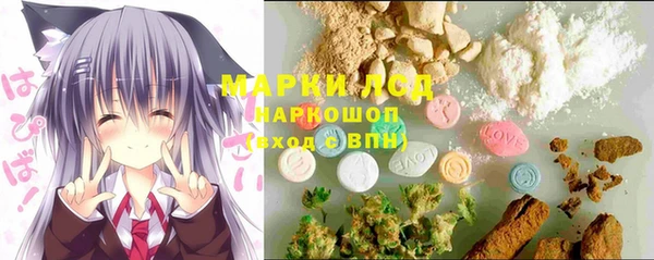 индика Арсеньев
