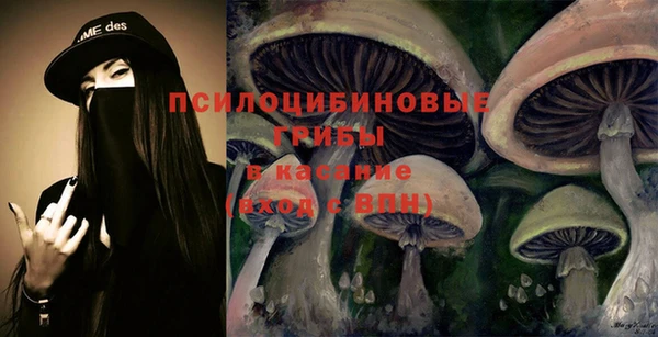 гашик Аркадак