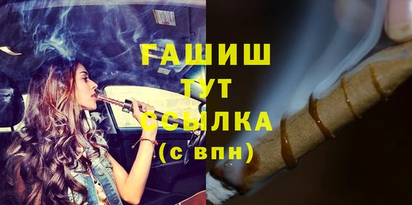 индика Арсеньев